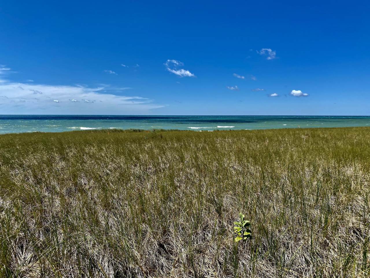 745 Lakeshore Drive - Photo 1