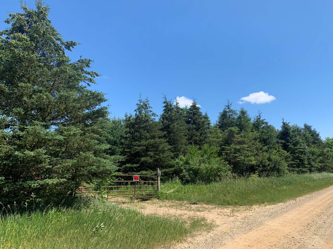 Dodd Road - Photo 1