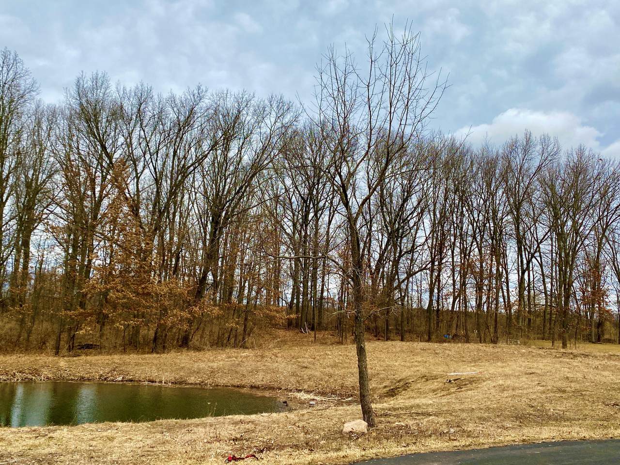Unit 43 Stonewood Creek Drive - Photo 1
