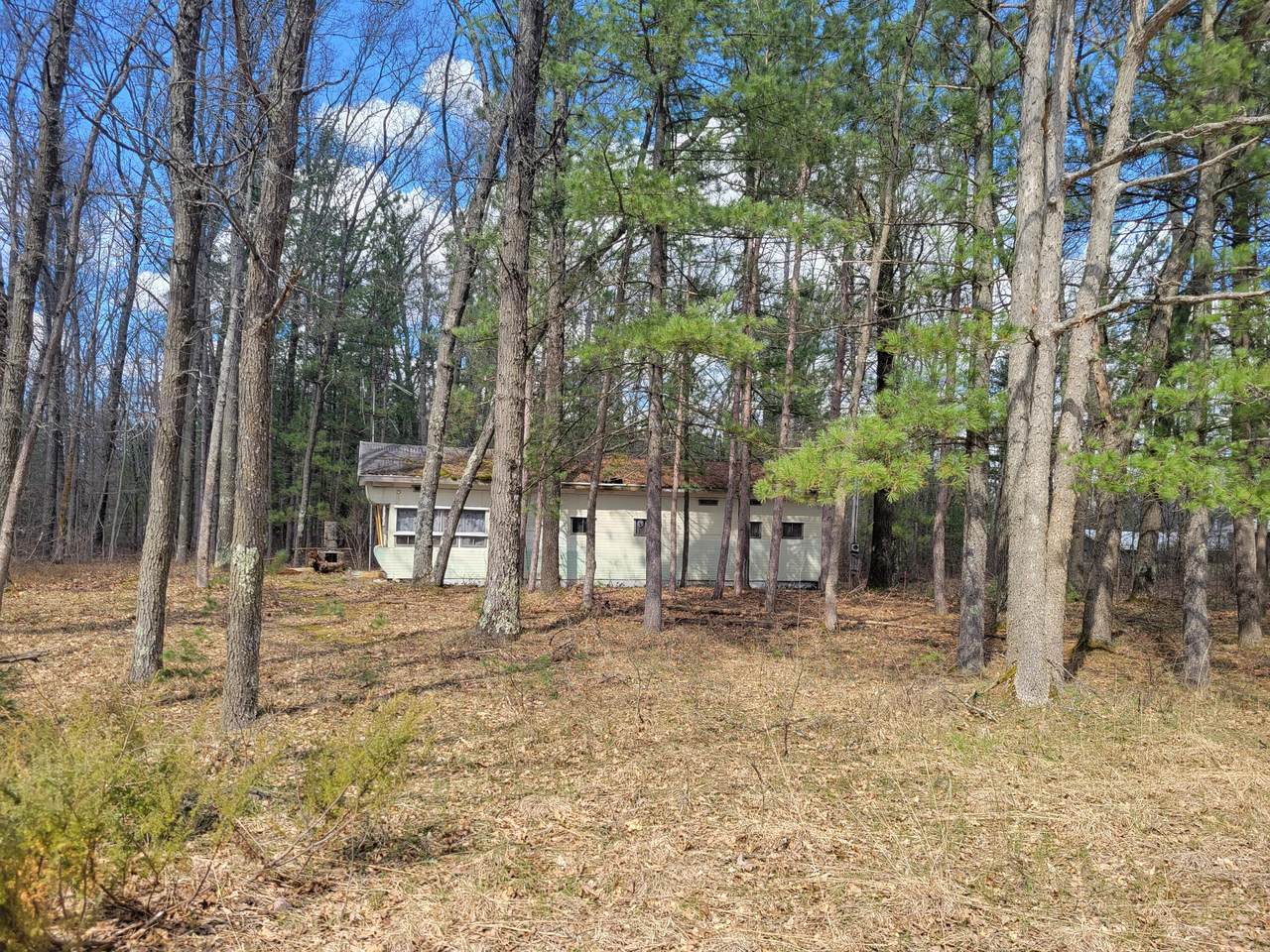 17640 Forest Road - Photo 1