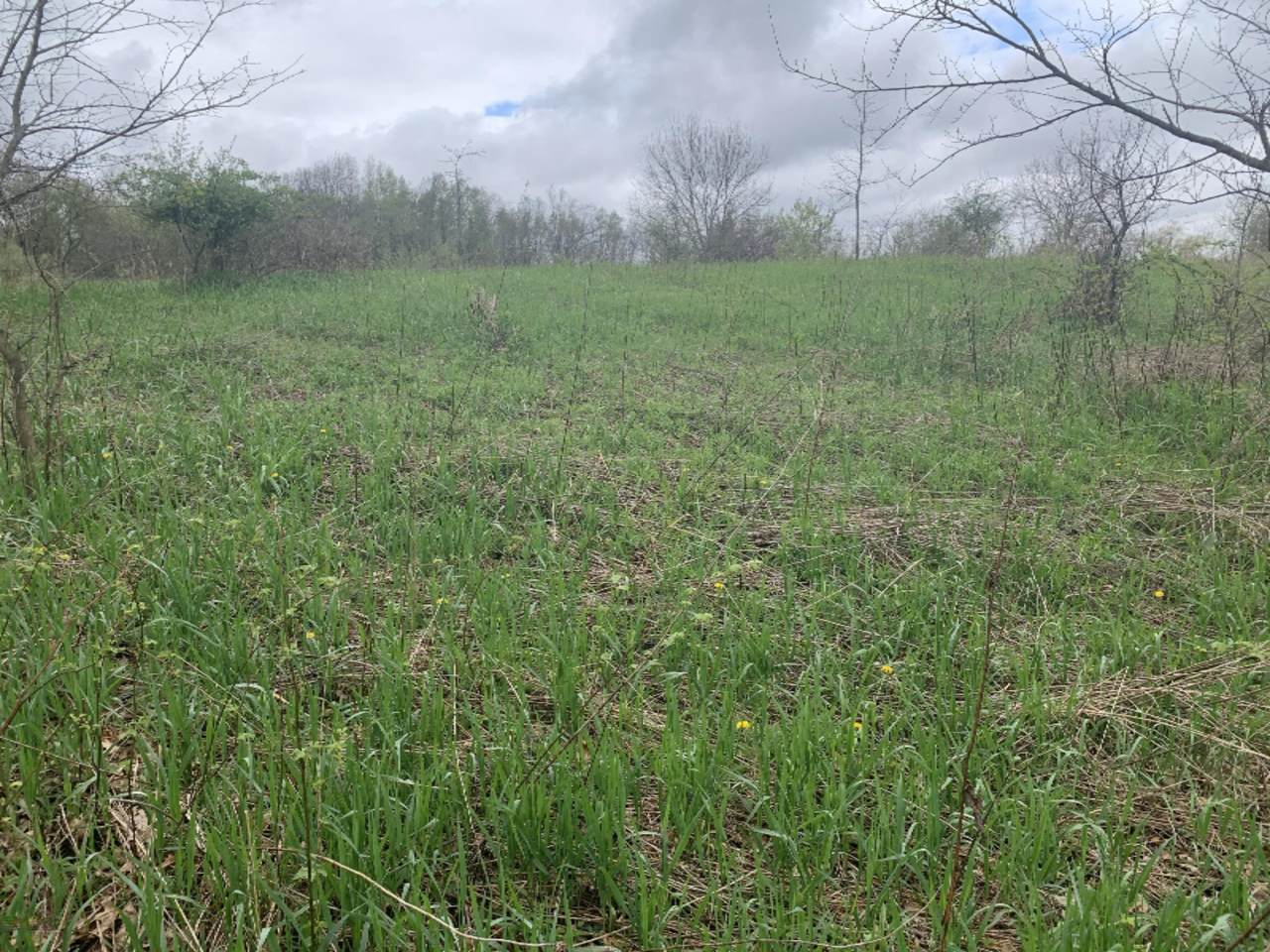 0001 30 Mile Road - Photo 1