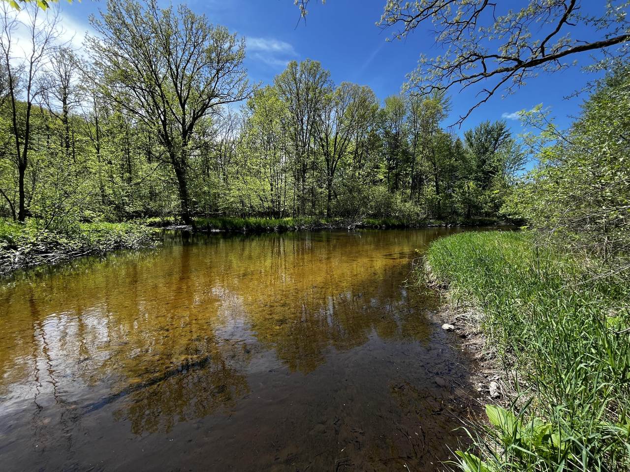 10 Acres Miles Rd - Photo 1