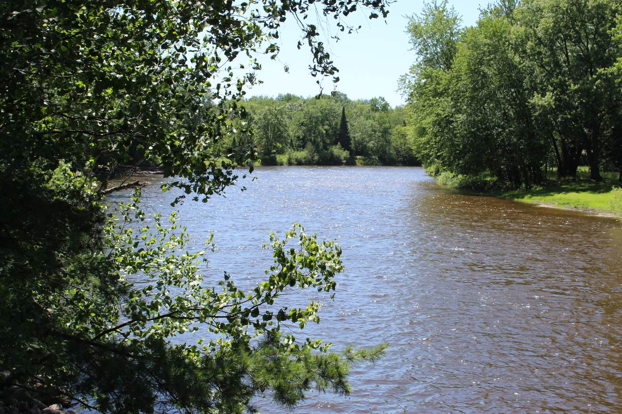 8746 Rustic Trail - Photo 1