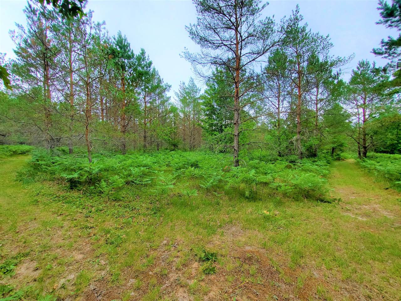 00 Twilight Trail - Photo 1