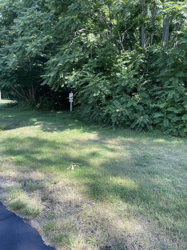 185 Morning Walk Path - Photo 1