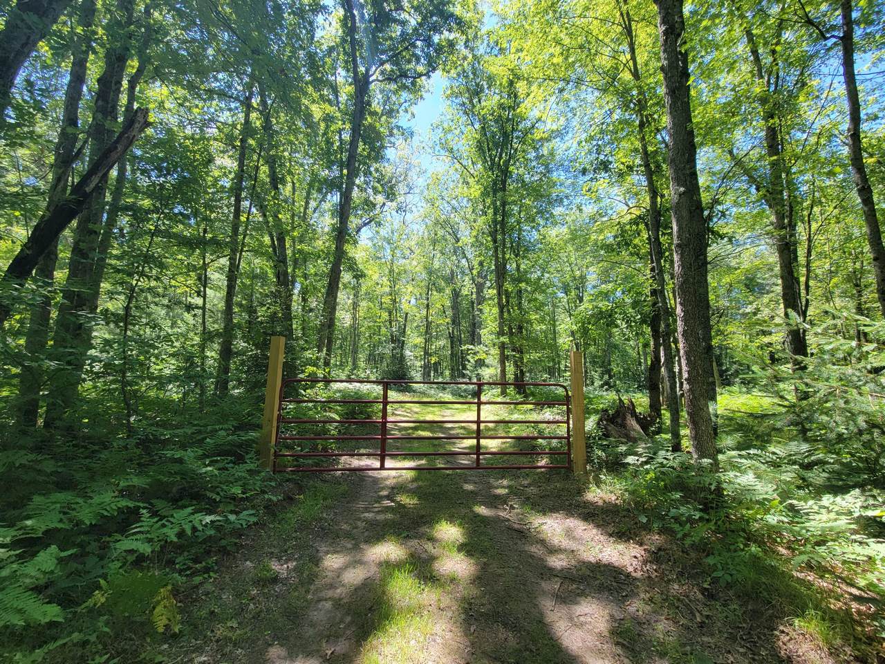 1370 Warfield Road - Photo 1