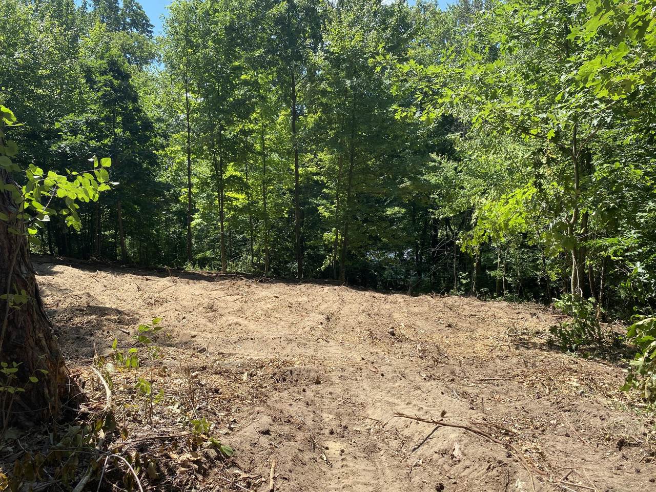 6244 Meadowood Trails Court - Photo 1