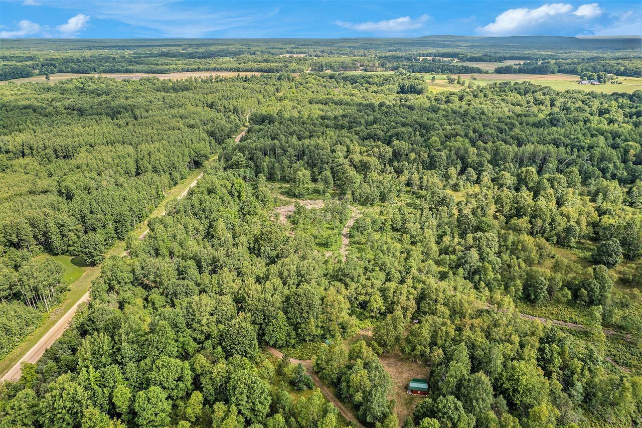 40 Acres Larson Road - Photo 1