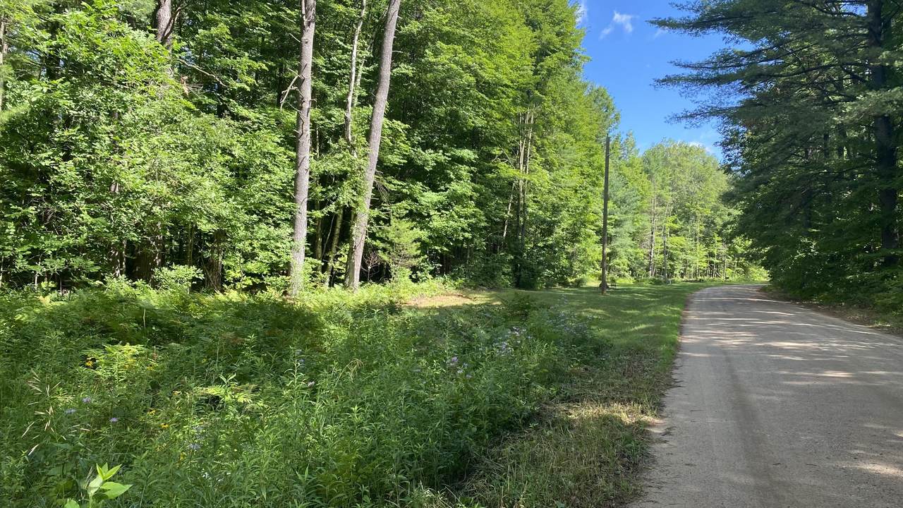 Lot 36 Indian Village Road - Photo 1