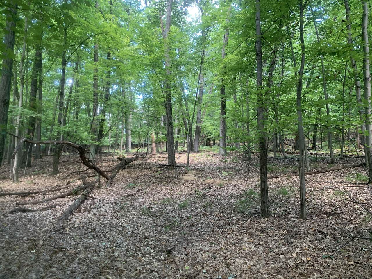 4611 Old Grand River Trail - Photo 1