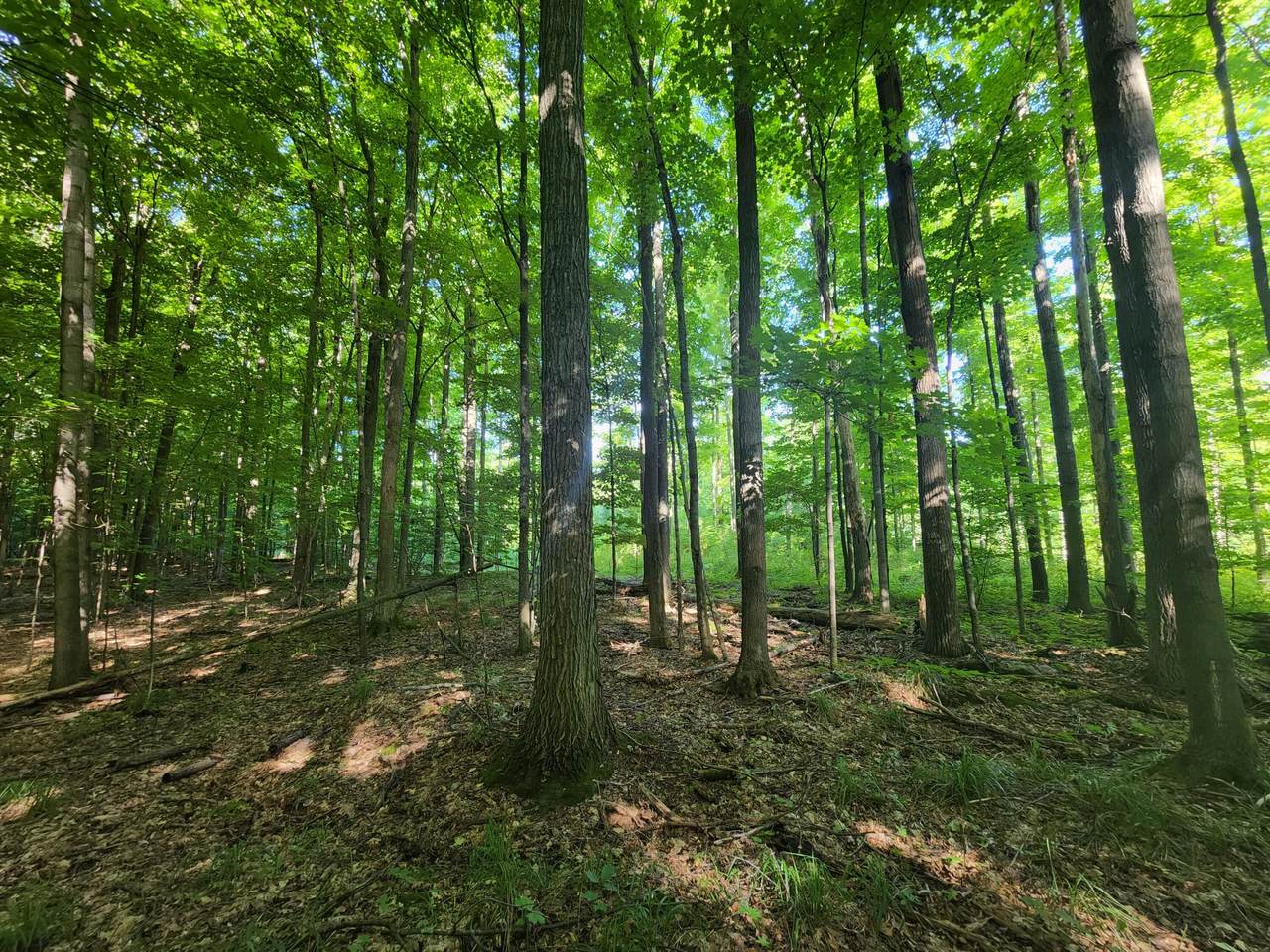 00 9 Mile Road - Photo 1