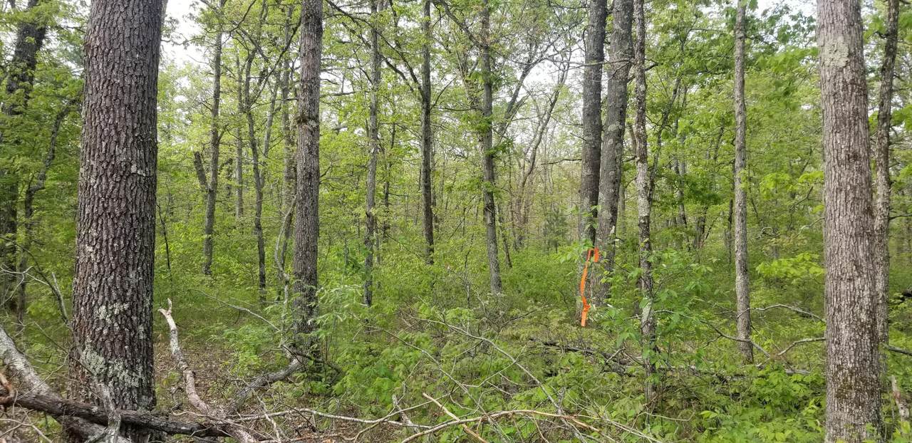 000 Hoxeyville Road - Photo 1