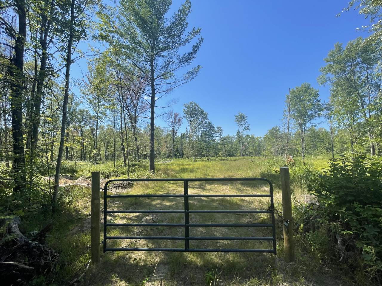 NN Twin Lake Avenue - Photo 1