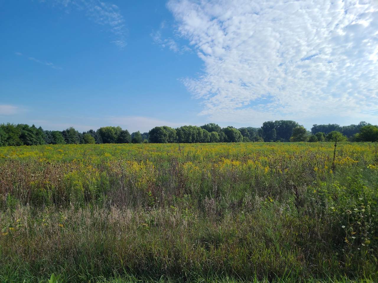 00 Hills Road - Photo 1