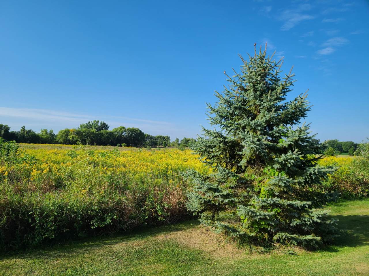 0 Tuttle Road - Photo 1