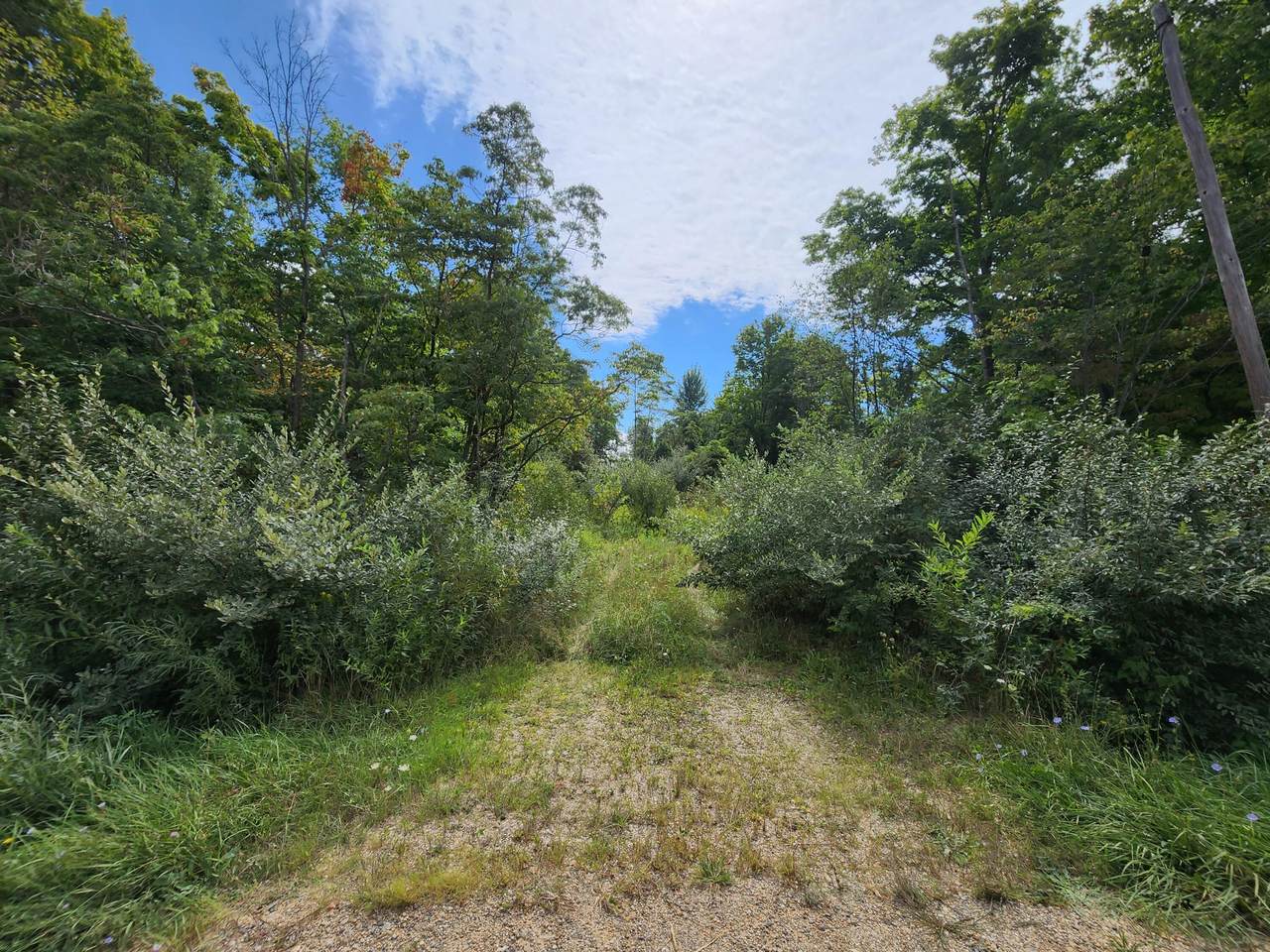 3874 Bundy Road - Photo 1