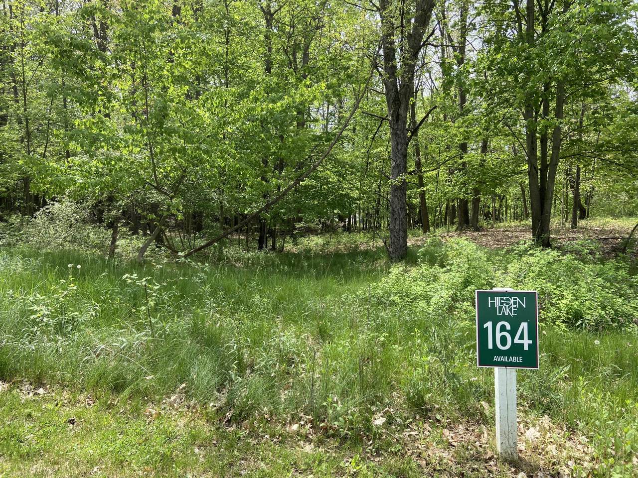 6385 Shr Cove - Photo 1