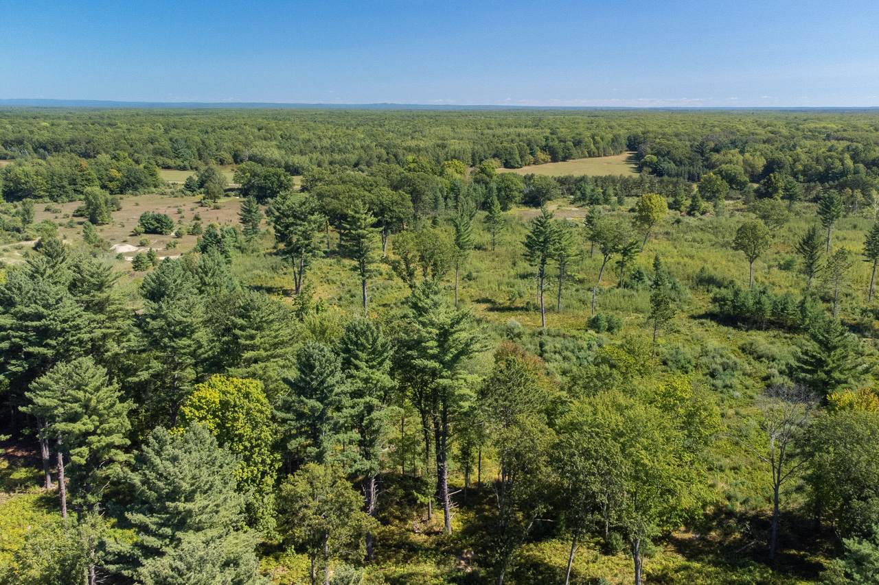 15016 Peters Farm Road - Photo 1