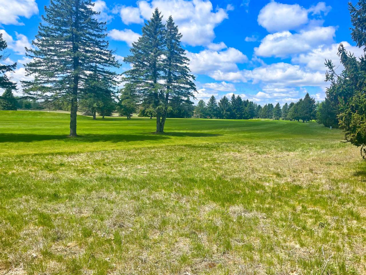7237 Ryans Run Road - Photo 1