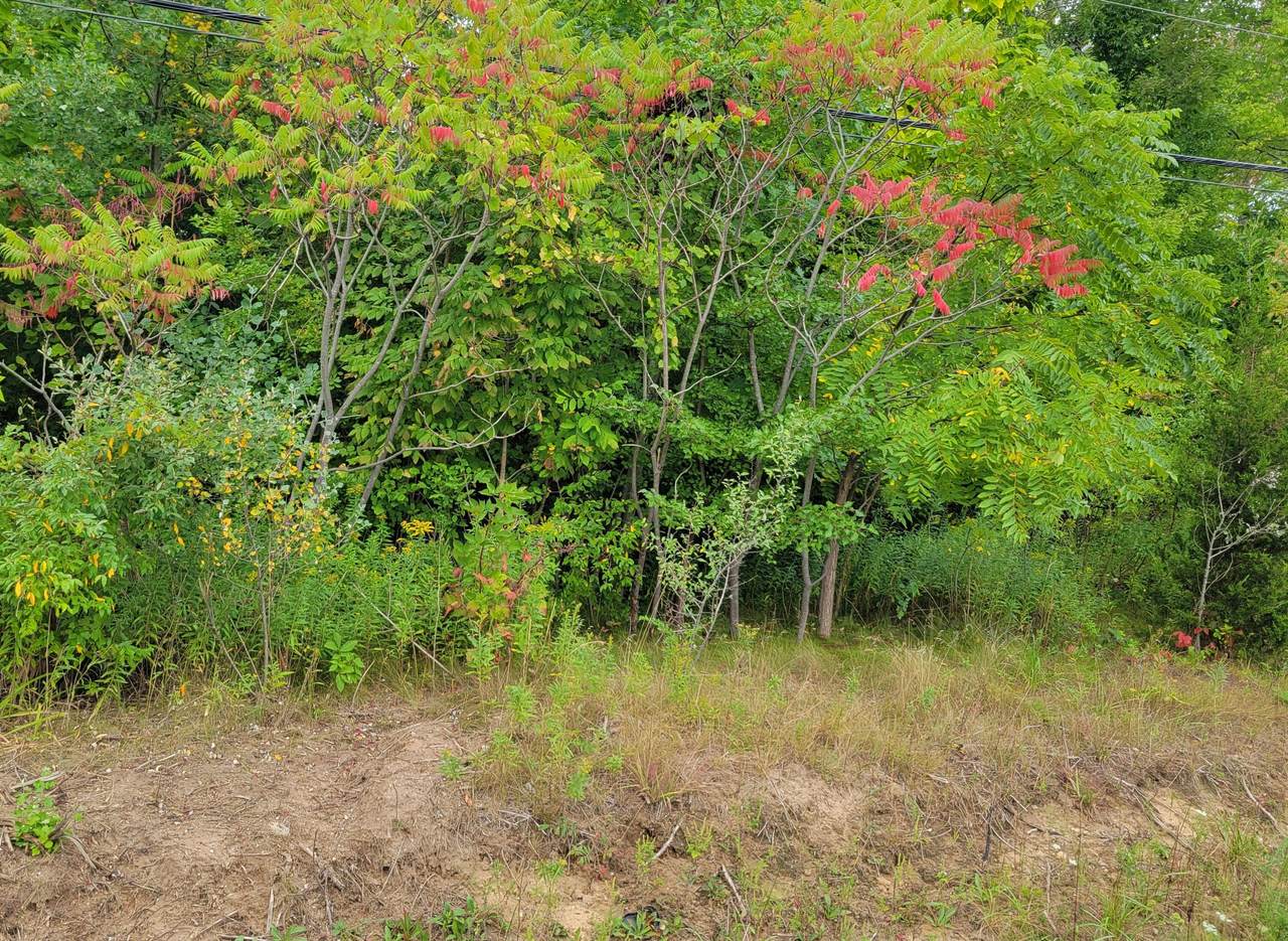 Blue Star (#52-57) Highway - Photo 1