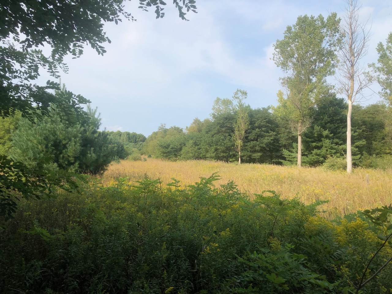 10 Acres 11 Mile Rd. - Photo 1