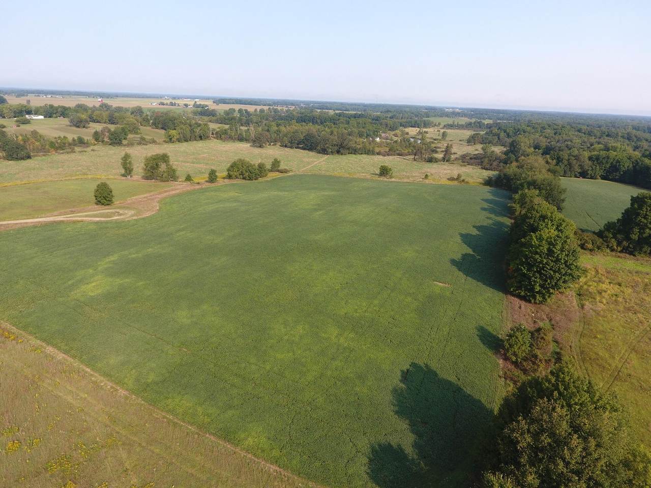 1155 Mahan Highway - Photo 1