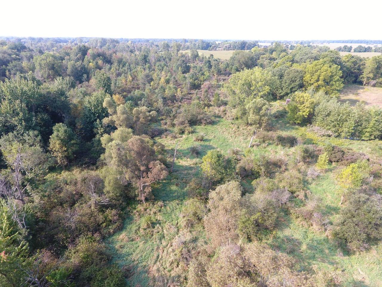 1155 C Mahan Highway - Photo 1