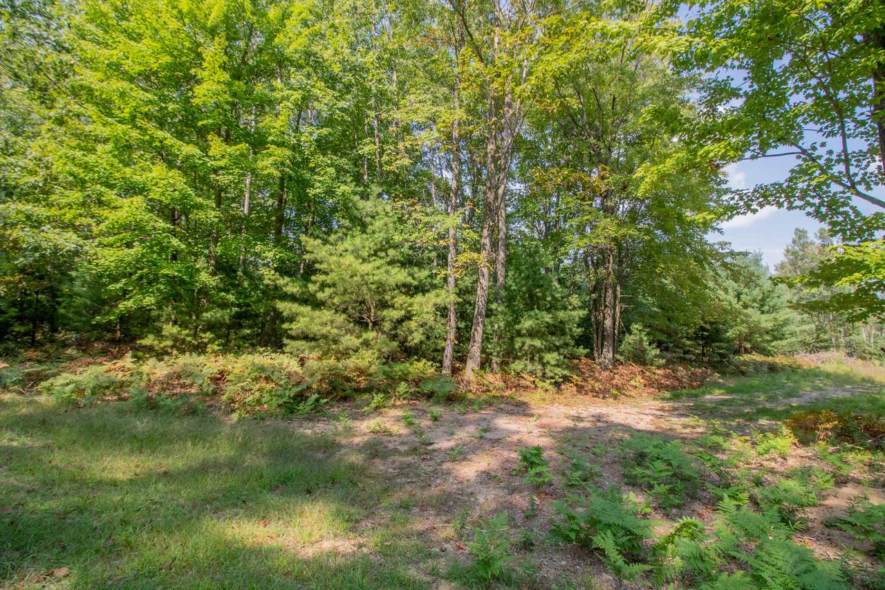 6362 Cedar Trace #35 - Photo 1