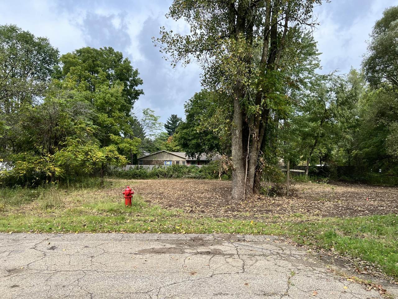 197 Elm Street - Photo 1