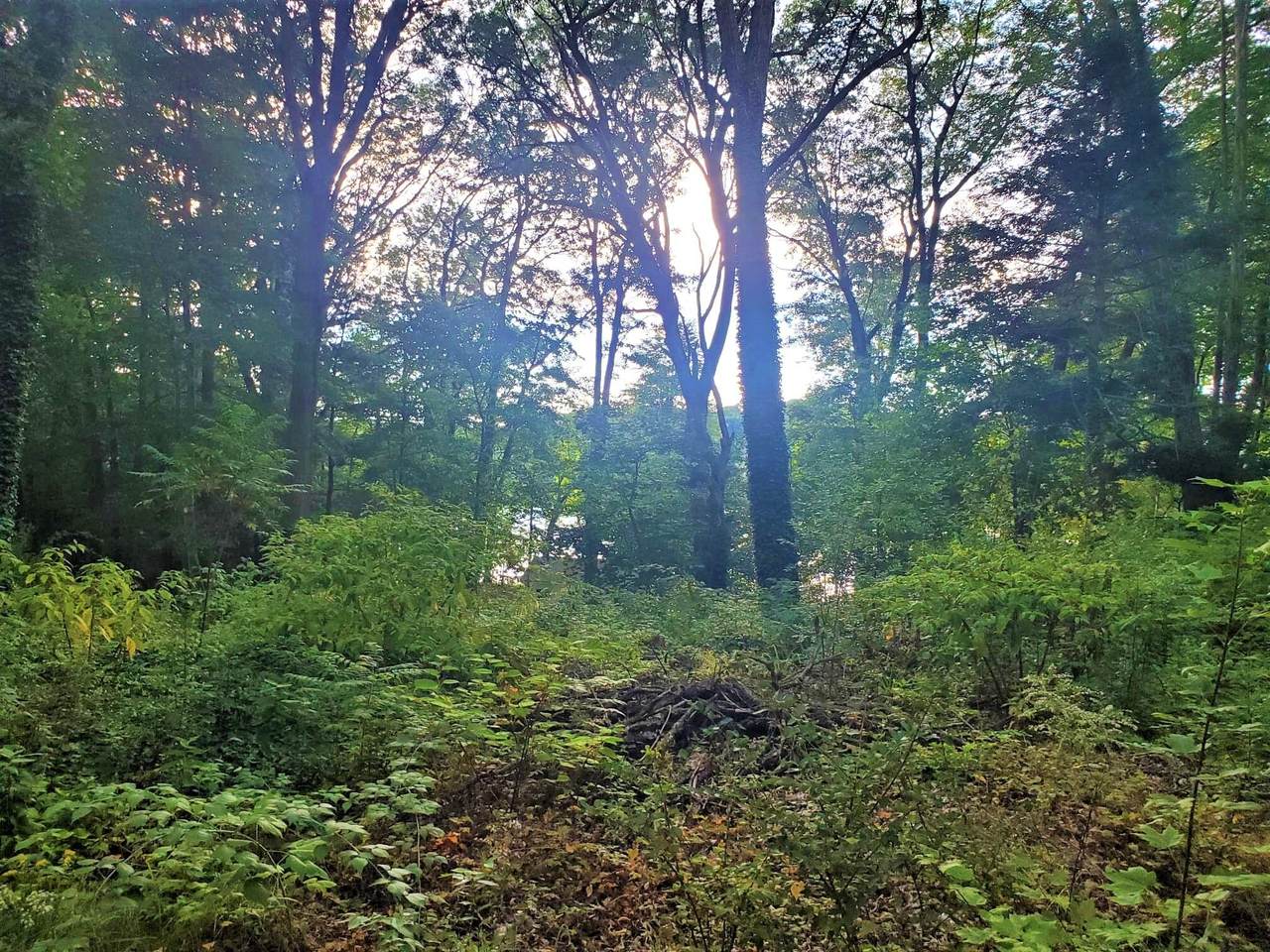 3069 Tahoe Trail - Photo 1