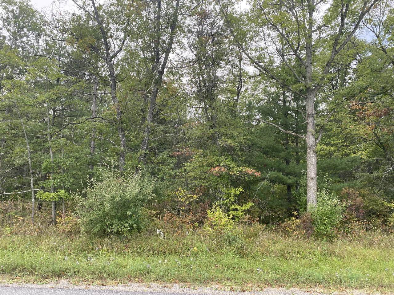 VL 185TH Avenue - Photo 1