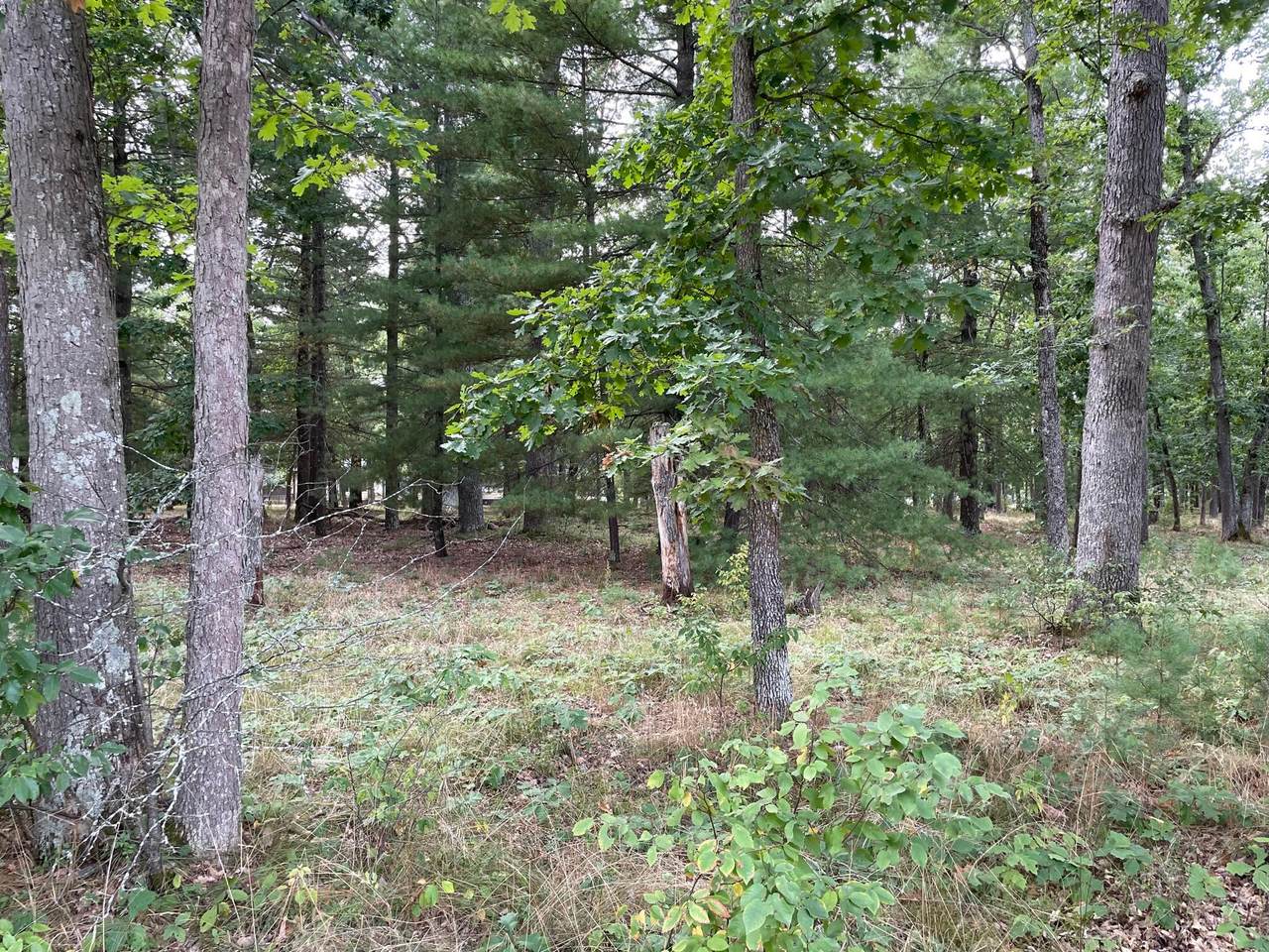 4086 Joseph Street - Photo 1