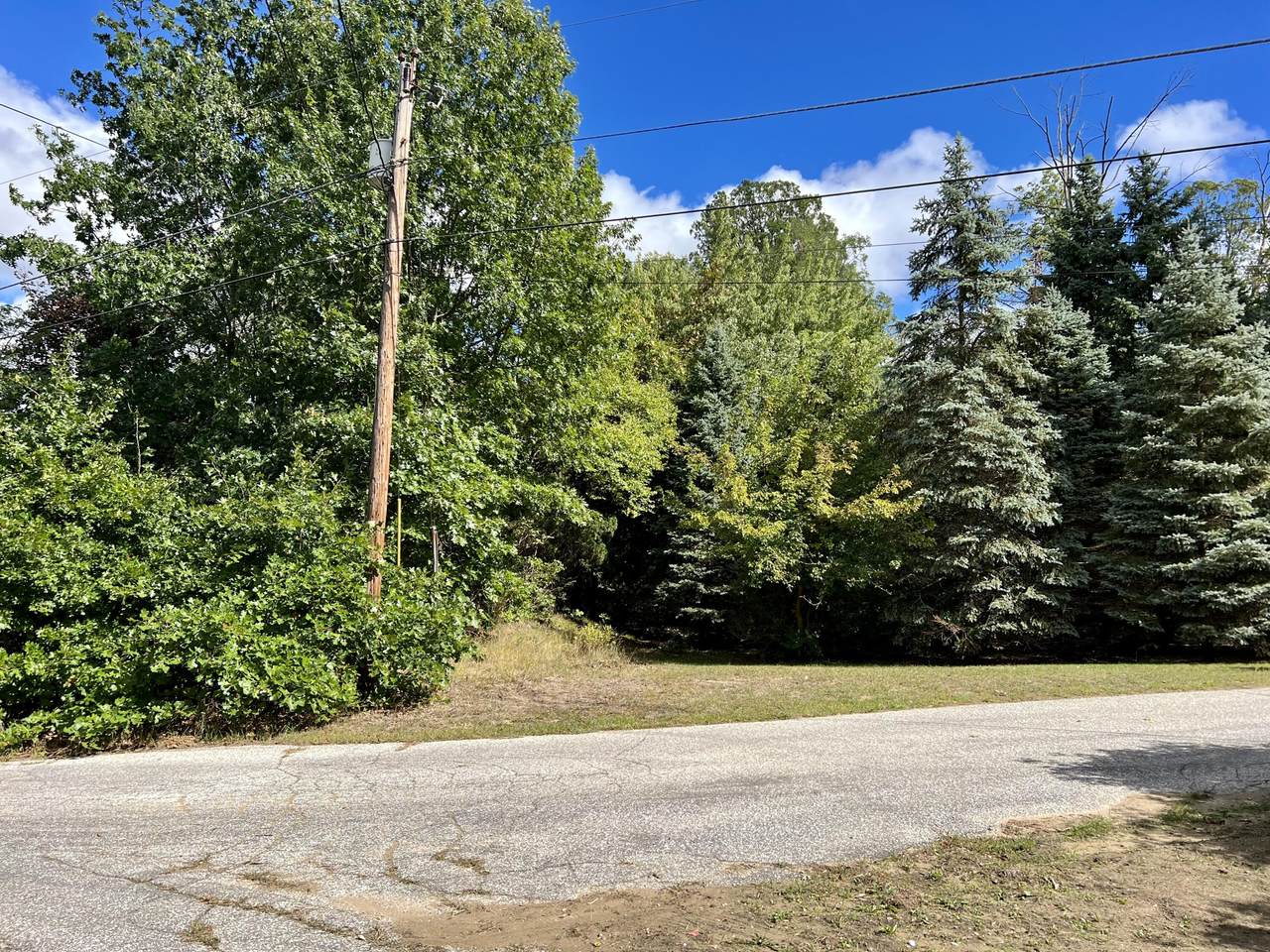 9749 Karen Court - Photo 1