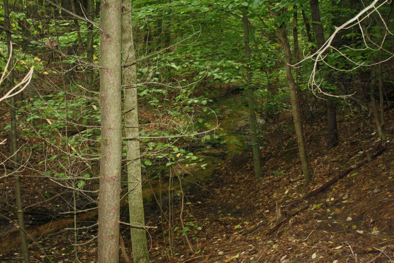 Parcel C Timbercreek - Photo 1