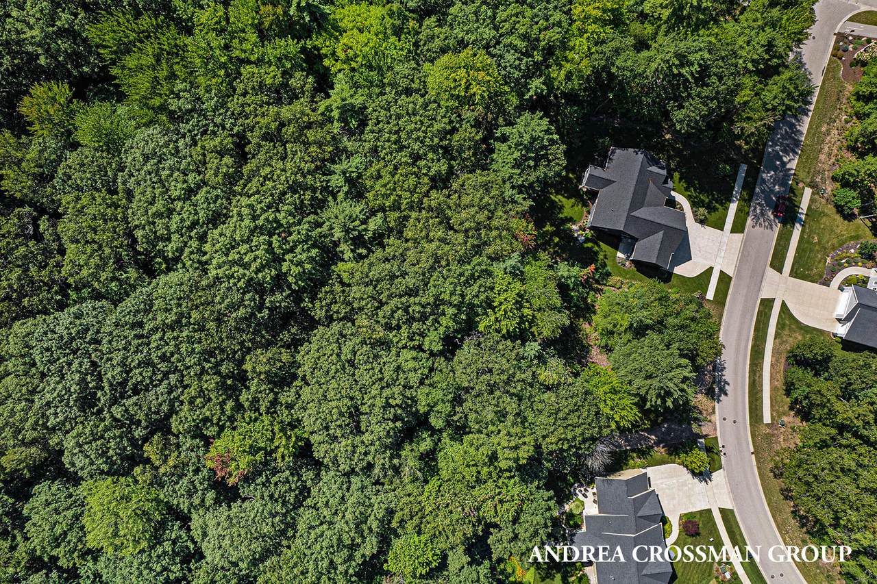 16166 Coventry Lane - Photo 1