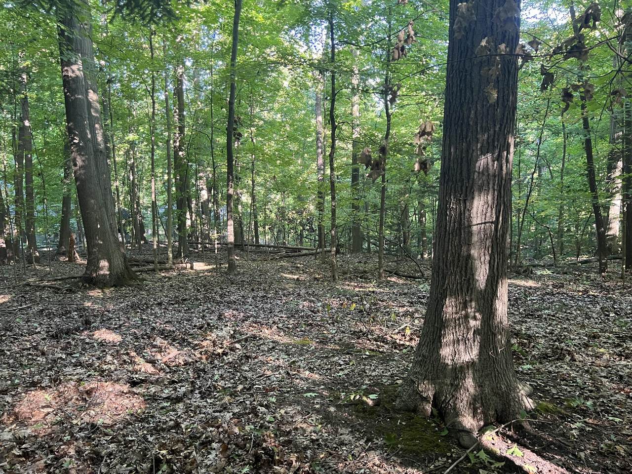 Lot 51 Creekwood Drive - Photo 1