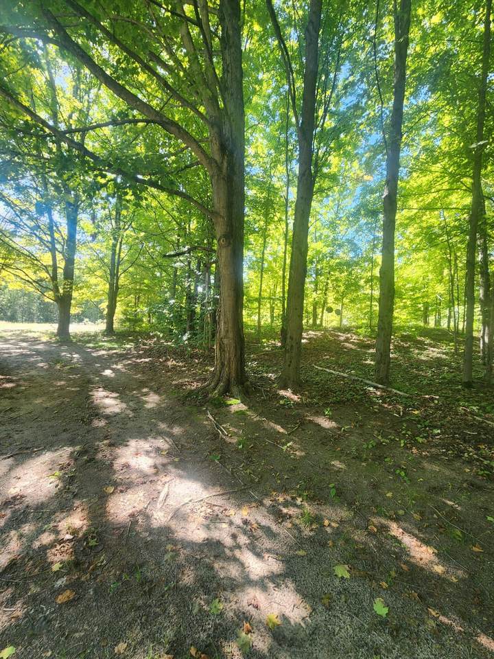 13938 220th Avenue - Photo 1