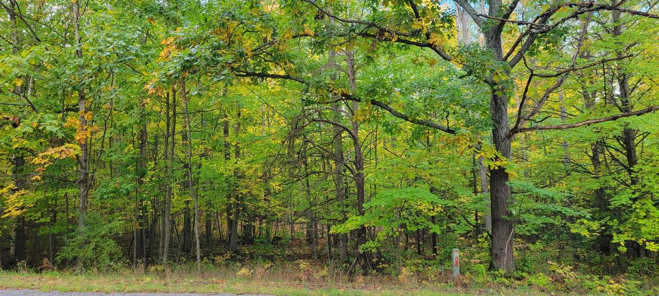 0000 Hawkins Road - Photo 1
