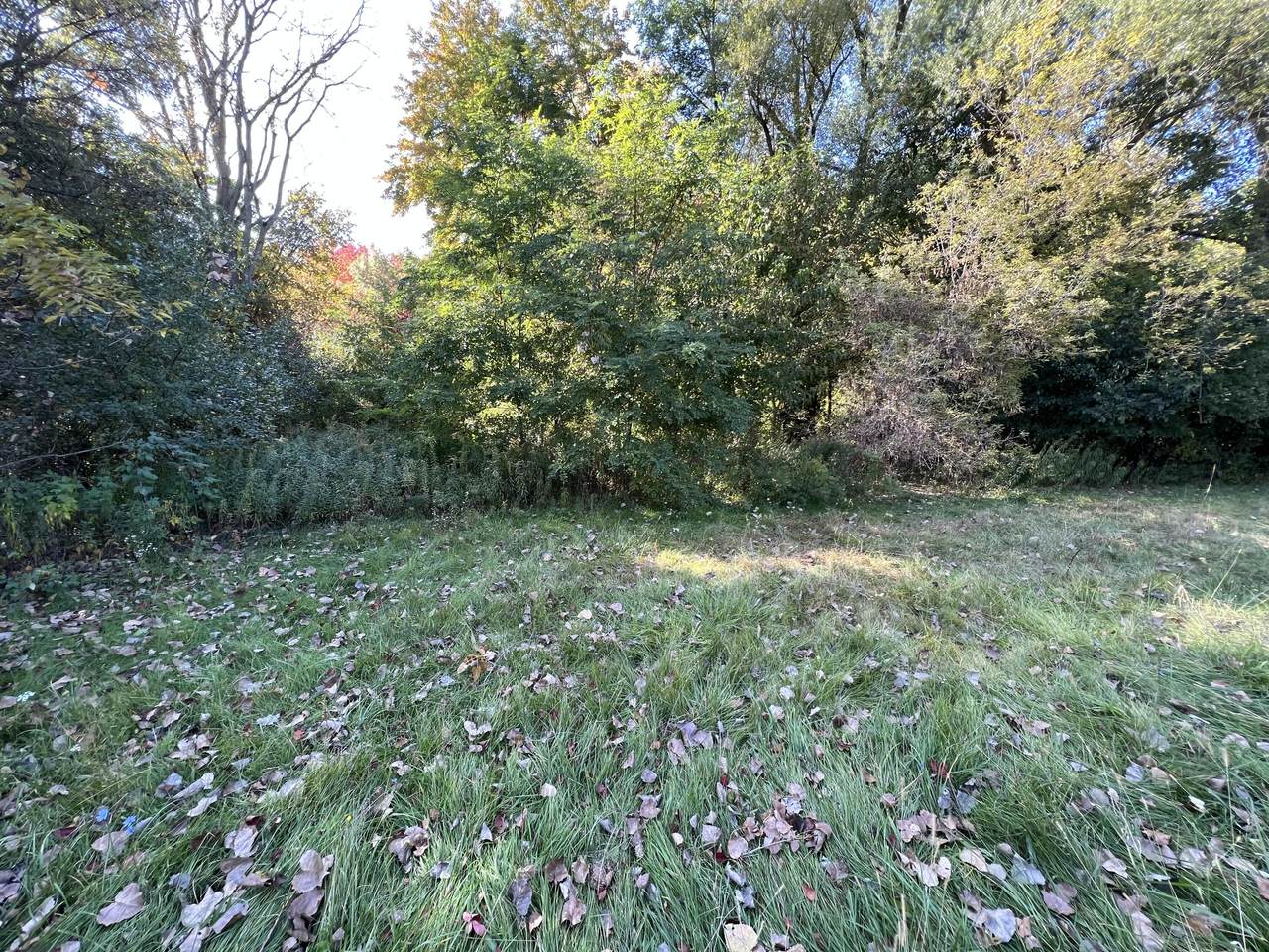 Vacant Lakeway Drive - Photo 1