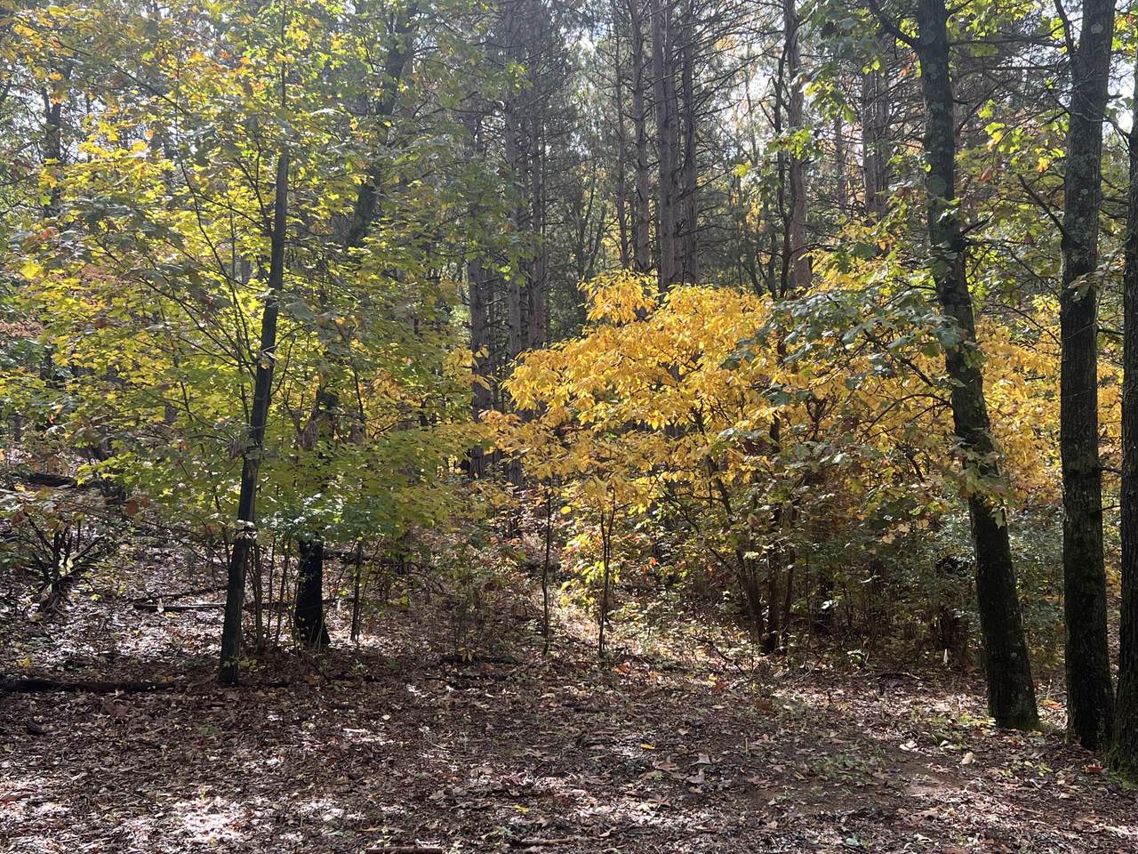 5001 Mountain Ridge Drive - Photo 1