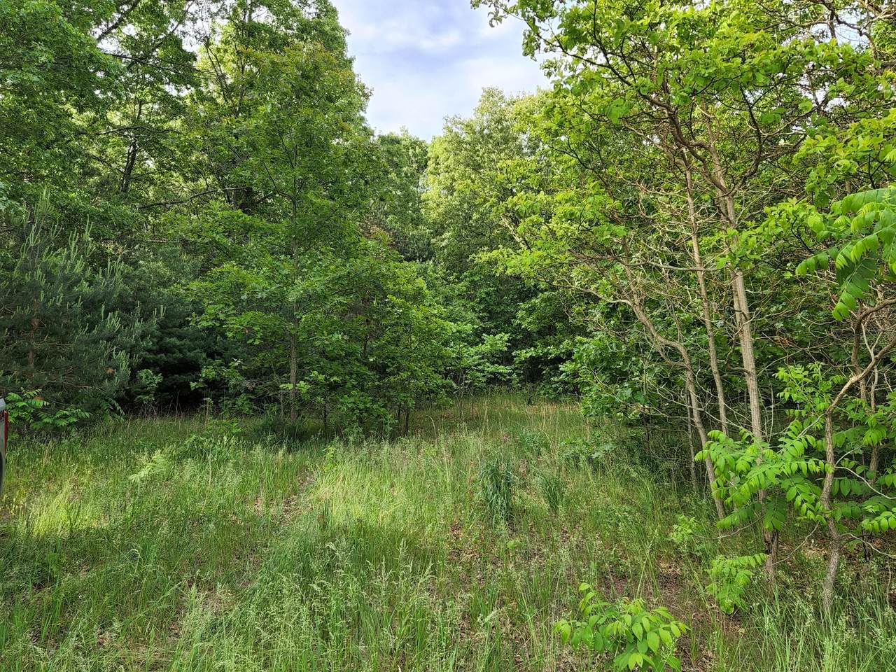0 Robbins Road - Photo 1