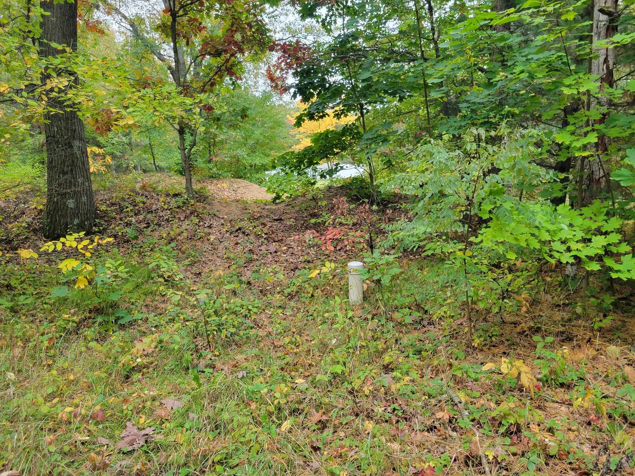 2463 Fam Lee Drive - Photo 1