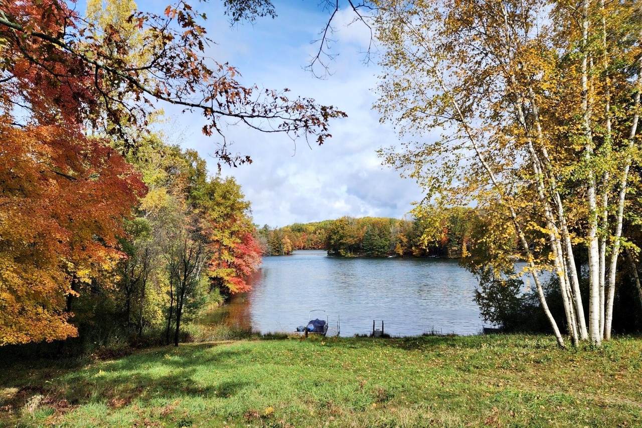 11875 Timberlane Drive - Photo 1