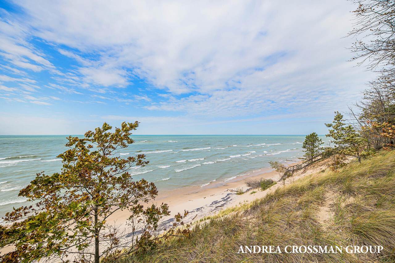 35800 Blue Star Highway - Photo 1