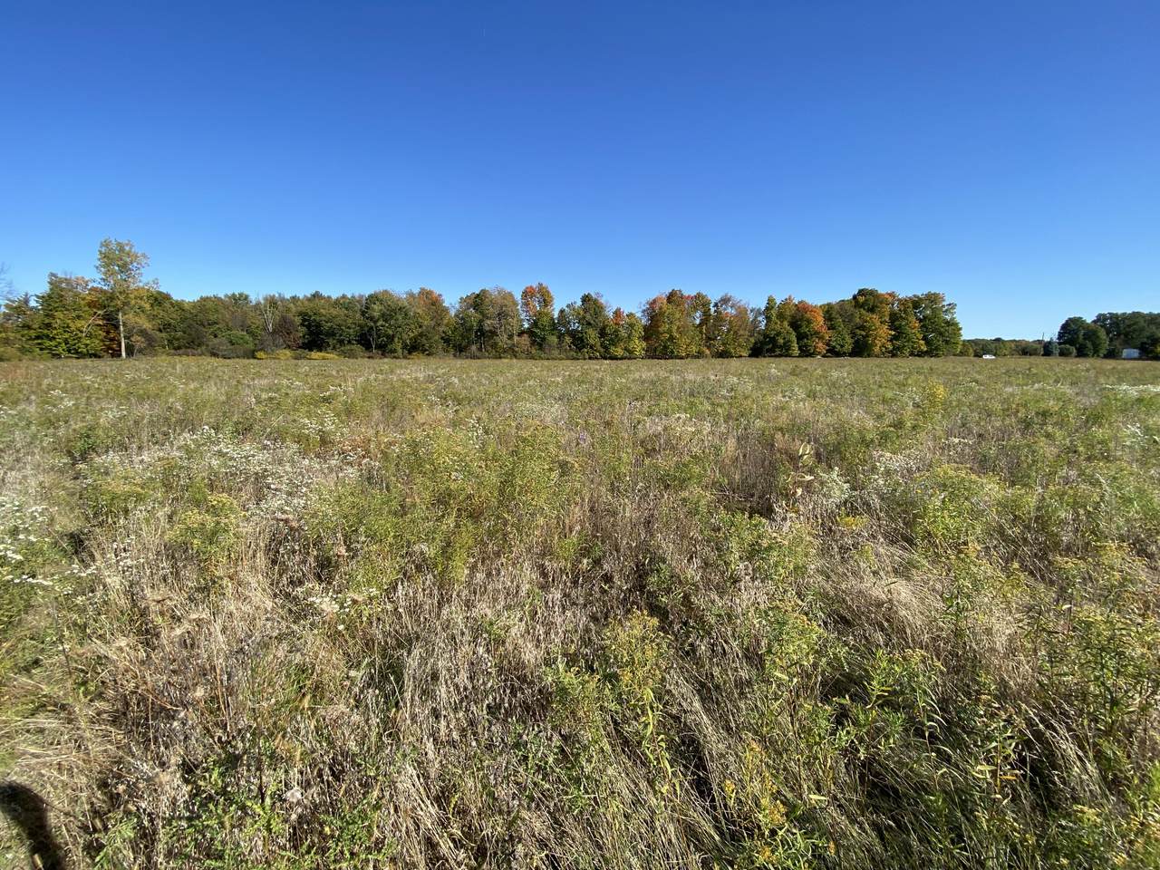 4185 Shance Highway - Photo 1