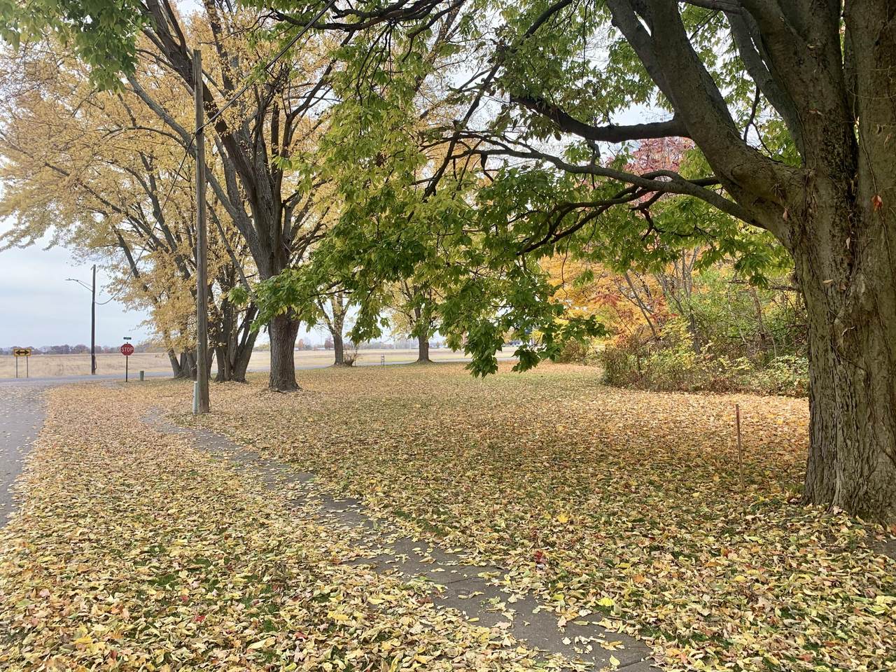 Cass Street - Photo 1