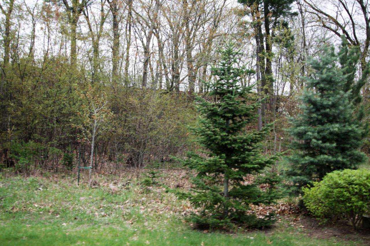 2303 View Lane - Photo 1