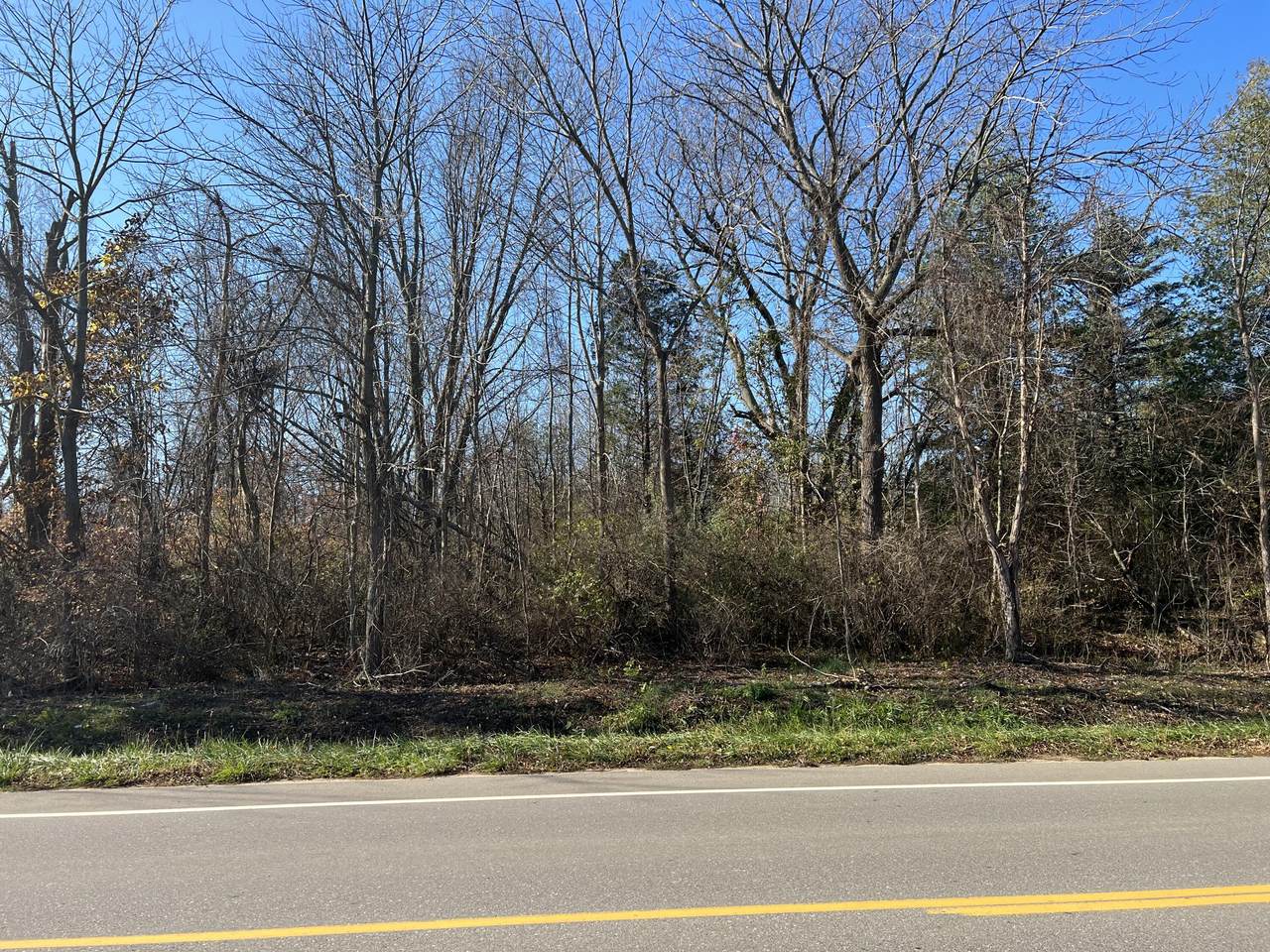 Blue Star Hwy - Photo 1