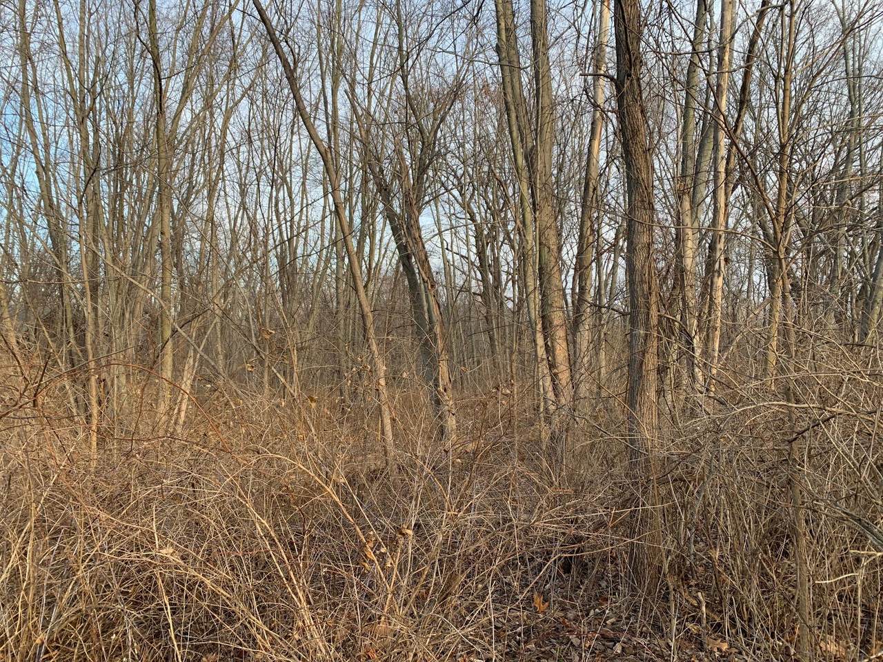 0 Hoder Road - Photo 1