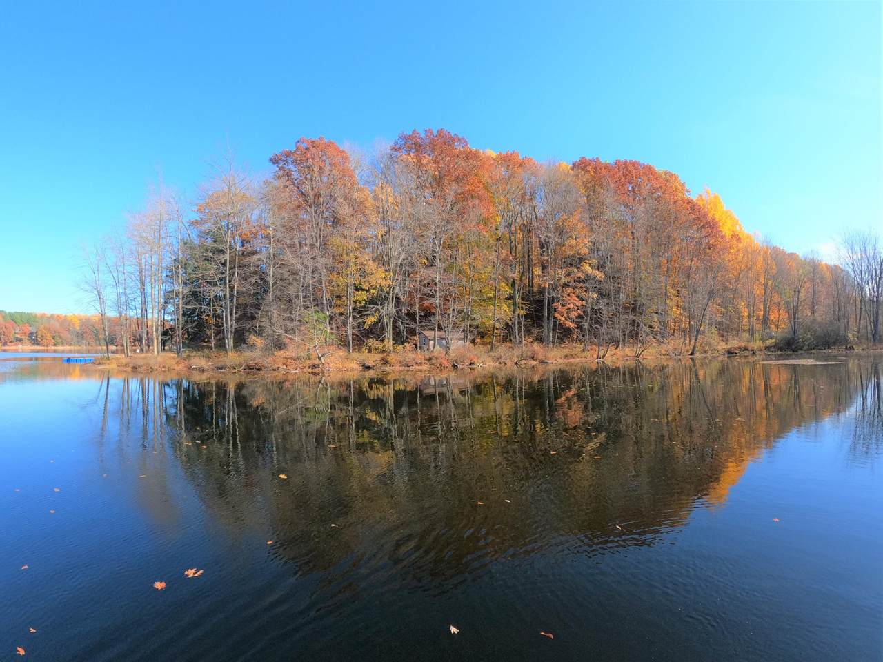 V/L Eden Lake Road - Photo 1